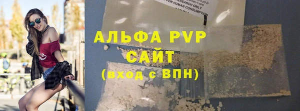 стафф Алексин