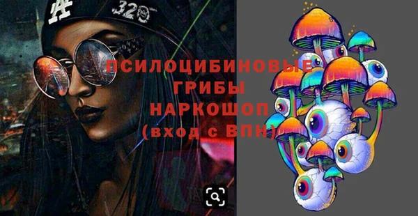 стафф Алексин