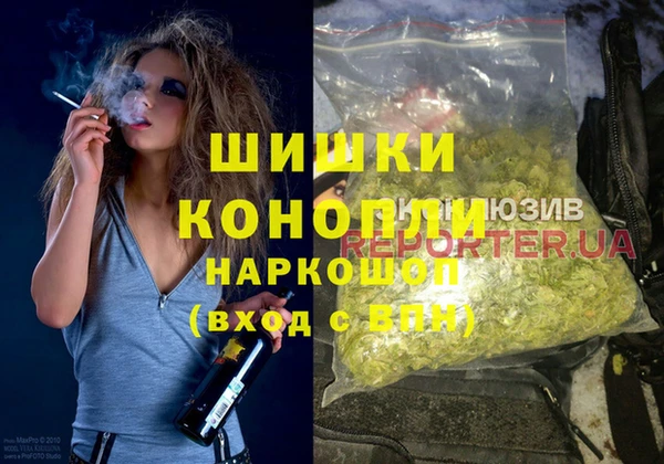 стафф Алексин