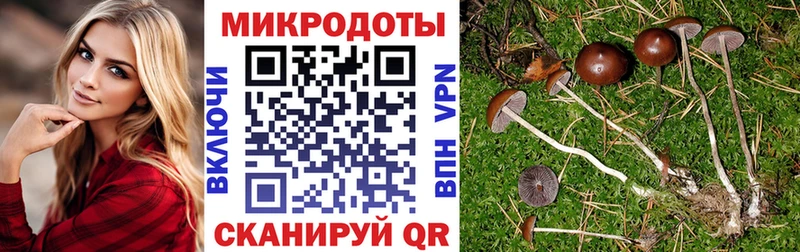 Псилоцибиновые грибы мицелий  наркотики  Сосновоборск 